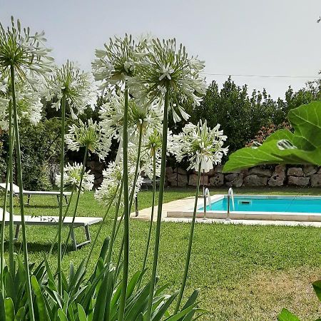 B&B Masseria Sant'Angelo Antonelli Экстерьер фото