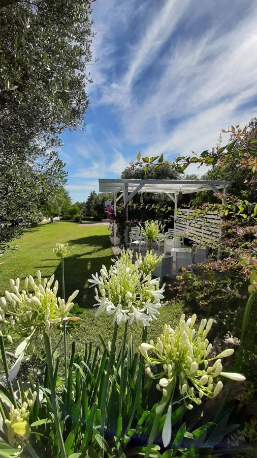 B&B Masseria Sant'Angelo Antonelli Экстерьер фото